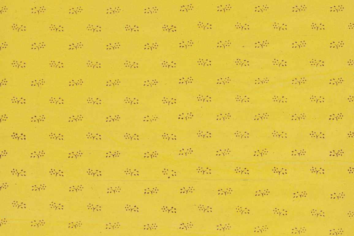 el paper de paret groc charlotte perkins gilman català feminista conte relat yellow wallpaper traducció