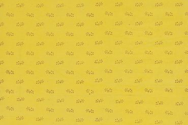 el paper de paret groc charlotte perkins gilman català feminista conte relat yellow wallpaper traducció