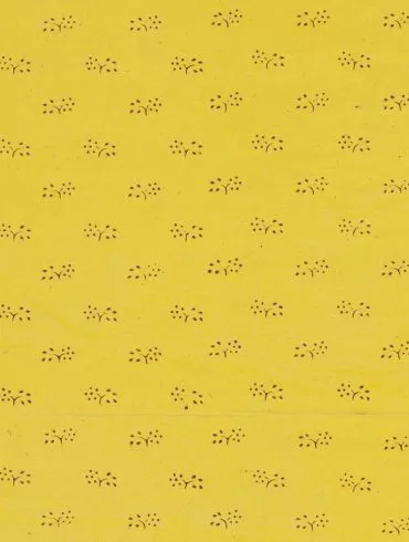 el paper de paret groc charlotte perkins gilman català feminista conte relat yellow wallpaper traducció