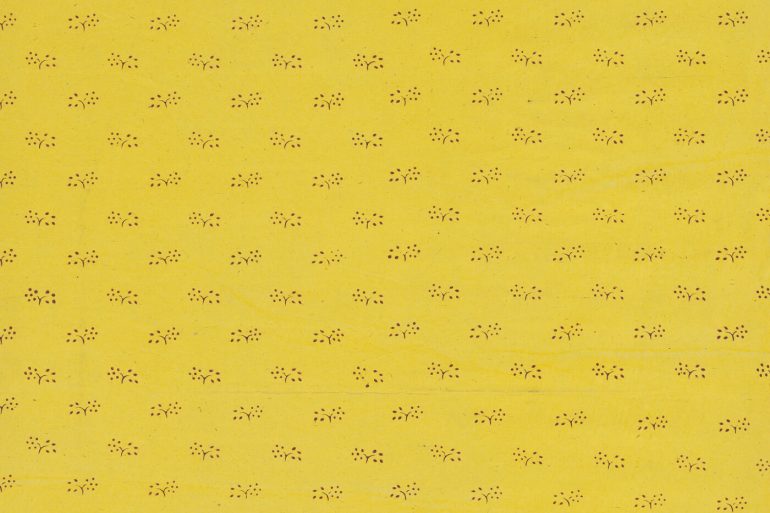 el paper de paret groc charlotte perkins gilman català feminista conte relat yellow wallpaper traducció