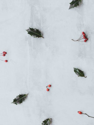 o. henry històries de nova york xavier pàmies el regal dels reis conte català viena edicions