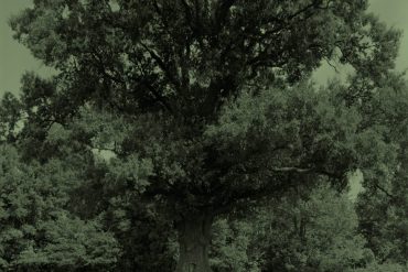 anna murià hosanna conte autobiogràfic agustí bartra exili