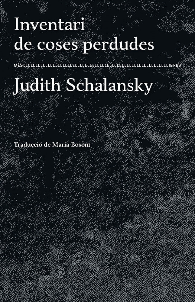 Inventari de coses perdudes – Judith Schalansky 58 inventari de coses perdudes judith schalansky més llibres traducció català