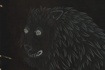 llibre de les bèsties ramon llulll meravelles