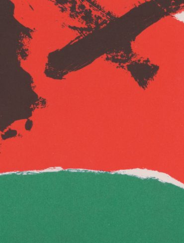 el poema de la rosa als llavis salvat papasseit poesia poema grua el meu estel català catalana