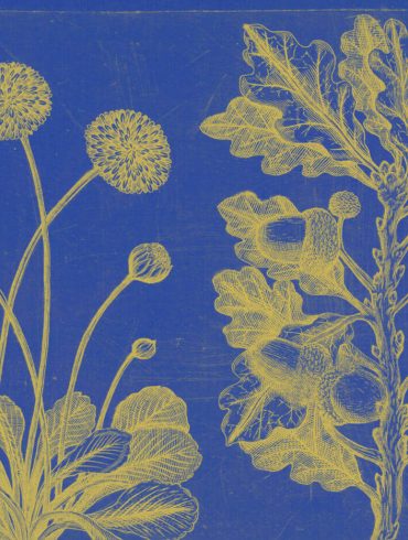 les disperses poemes poesia joan maragall català
