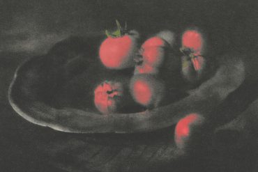 temps obert núria cadenes manuel de pedrolo comanegra la terra s'ho porta no han donat la llum encara novel·la