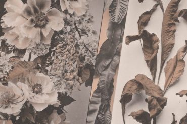 Poesies i poemes de Màrius Torres