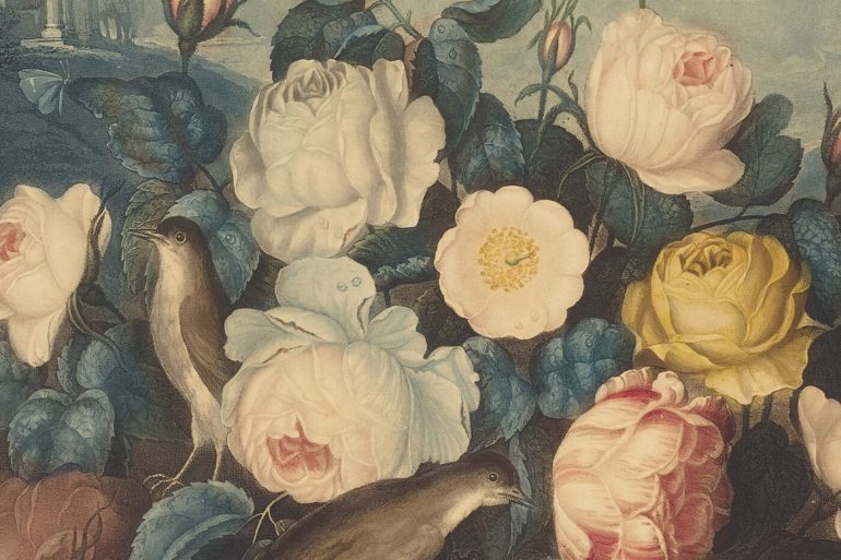 el cor i les roses contes conte màrius torres llàstima que no hagués anat així poesia poesies universitat de barcelona recull stroligut literatura catalana català revista poema història d'un gentleman