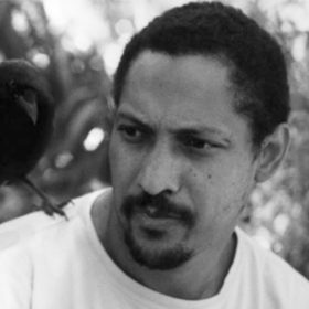 percival everett els arbres