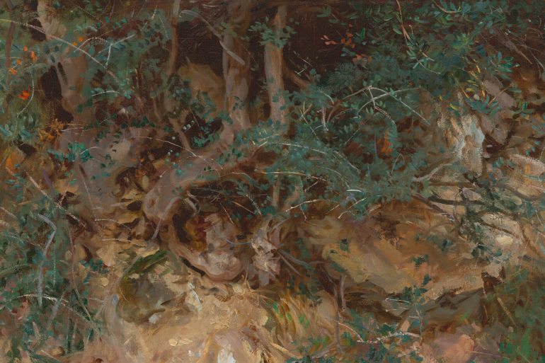 el llibre de l'oli plini el vell pau sabaté olivera amor vertadera traducció godall edicions oliva