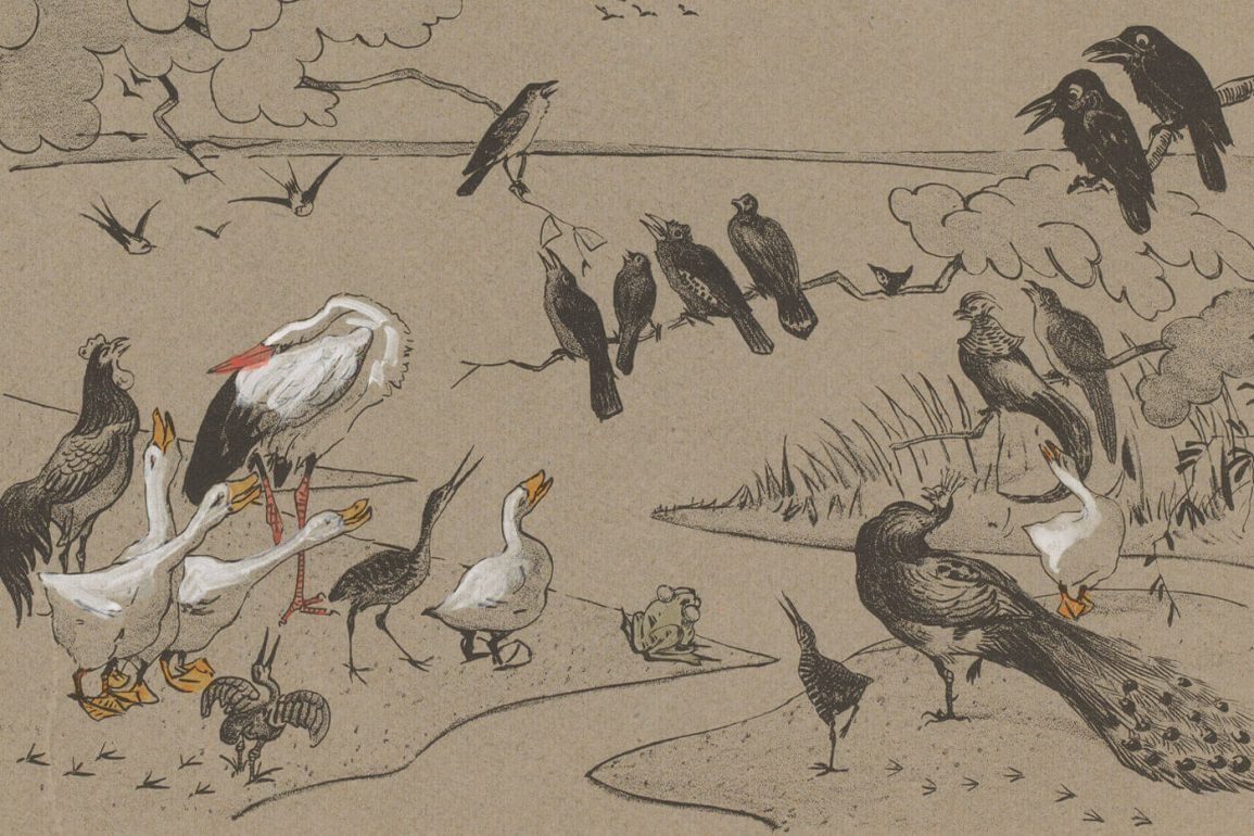 què diuen els ocells jacint verdaguer ocell conte contes poemes poema
