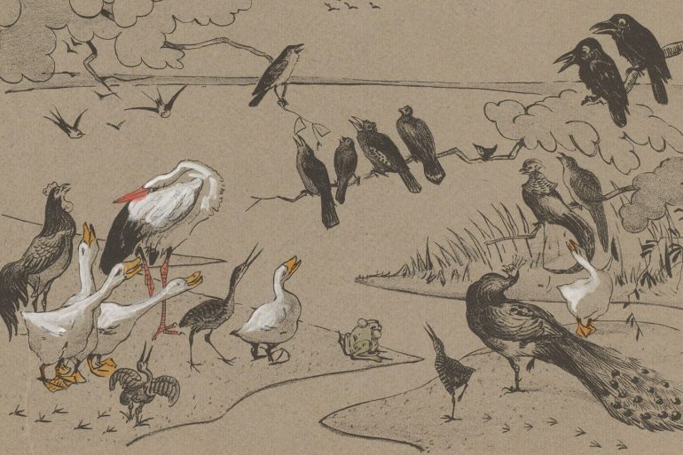 què diuen els ocells jacint verdaguer ocell conte contes poemes poema
