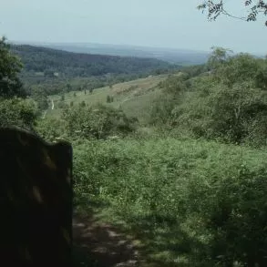 Gibbet Hill en dibuix de Turner.