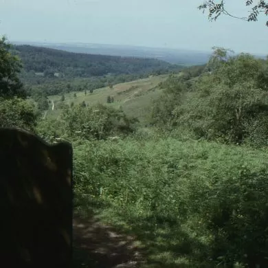 Gibbet Hill en dibuix de Turner.