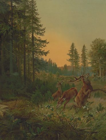 Sant Julià l'Hospitalari de Gustave Flaubert, en traducció al català de Georgina Solà.