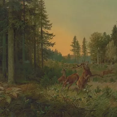 Sant Julià l'Hospitalari de Gustave Flaubert, en traducció al català de Georgina Solà.