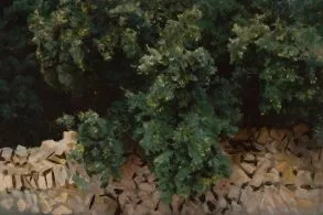 Espigues en flor i El retorn de Maria Antònia Salvà a Barcino.