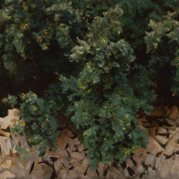 Salva de Sargent Cap
