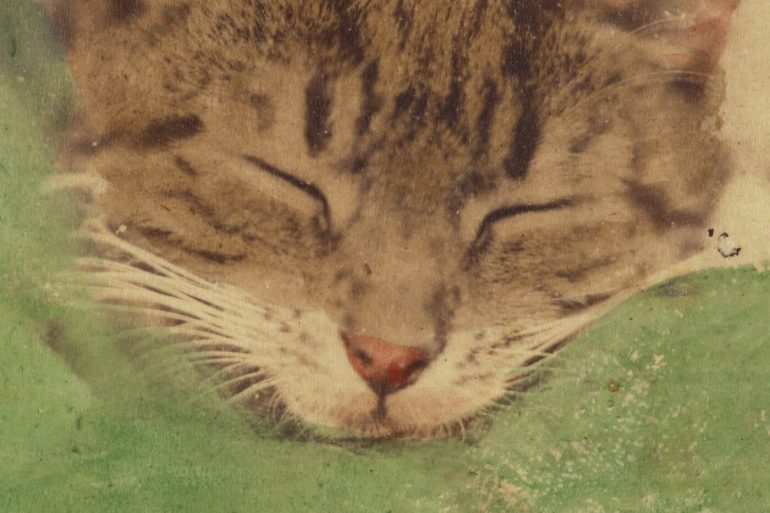 El gat de beaugency i el dimoni, un conte de James Joyce en traducció al català de Joaquim Mallafrè.