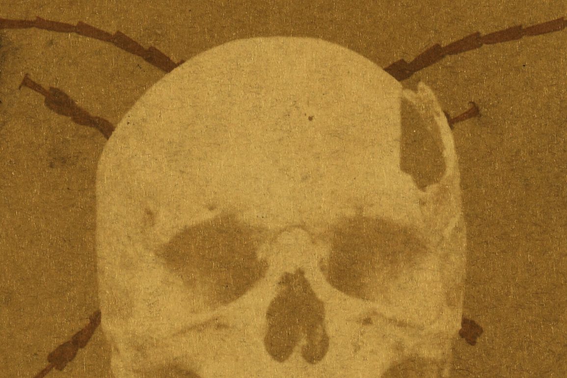 L'escarabat d'or – Edgar Allan Poe 73 Escarabat d'or d'Edgar Allan Poe