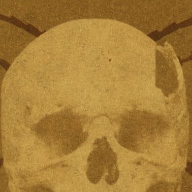 Escarabat d'or d'Edgar Allan Poe