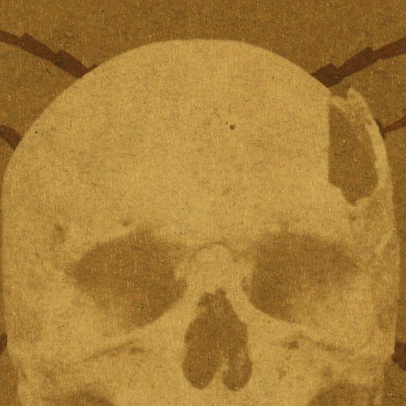 Escarabat d'or d'Edgar Allan Poe