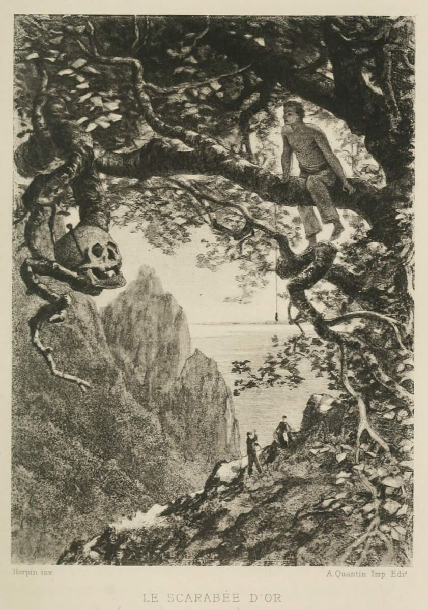 L'escarabat d'or – Edgar Allan Poe 74 L'escarabat d'or, d'Edgar Allan Poe. Traducció al català de Carles Capdevila.